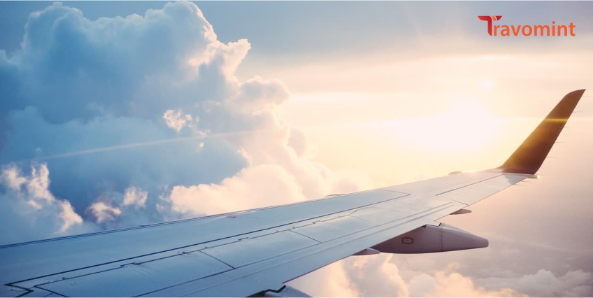 What You Can & Cannot Bring on a Plane